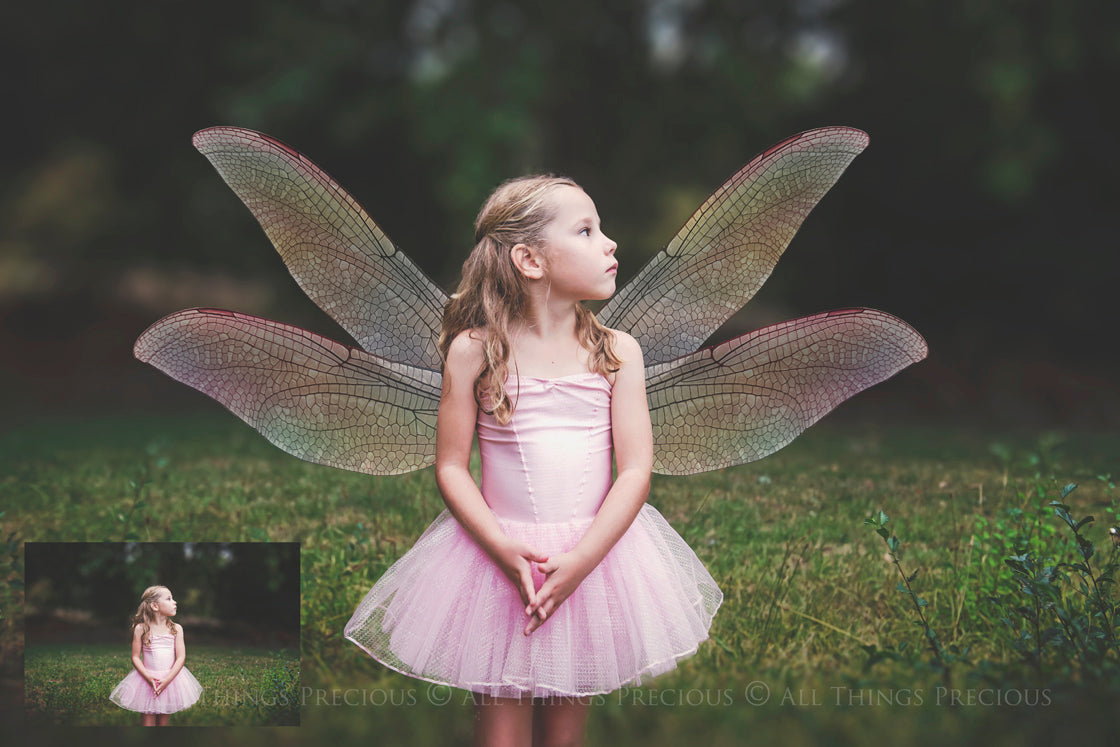 Digital Faery Wing Overlays. Png overlays for photoshop. Photography editing. High resolution, 300dpi fairy wings. Overlays for photography. Digital stock and resources. Graphic design. Fairy Photos. Colourful Fairy wings. Faerie Wings. ATP Textures. Overlays. Actions, Textures, Photo Resources, Photoshop. 