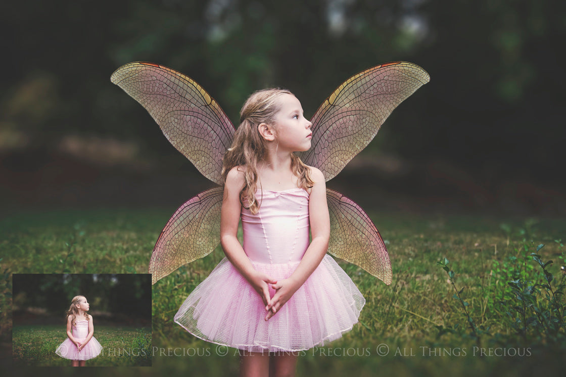 Digital Faery Wing Overlays. Png overlays for photoshop. Photography editing. High resolution, 300dpi fairy wings. Overlays for photography. Digital stock and resources. Graphic design. Fairy Photos. Colourful Fairy wings. Faerie Wings. ATP Textures. Overlays. Actions, Textures, Photo Resources, Photoshop. 