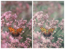 Load image into Gallery viewer, WINTERLY Mini Set Photoshop Actions
