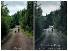 Load image into Gallery viewer, WINTER WOODLAND Mini Set Photoshop Actions
