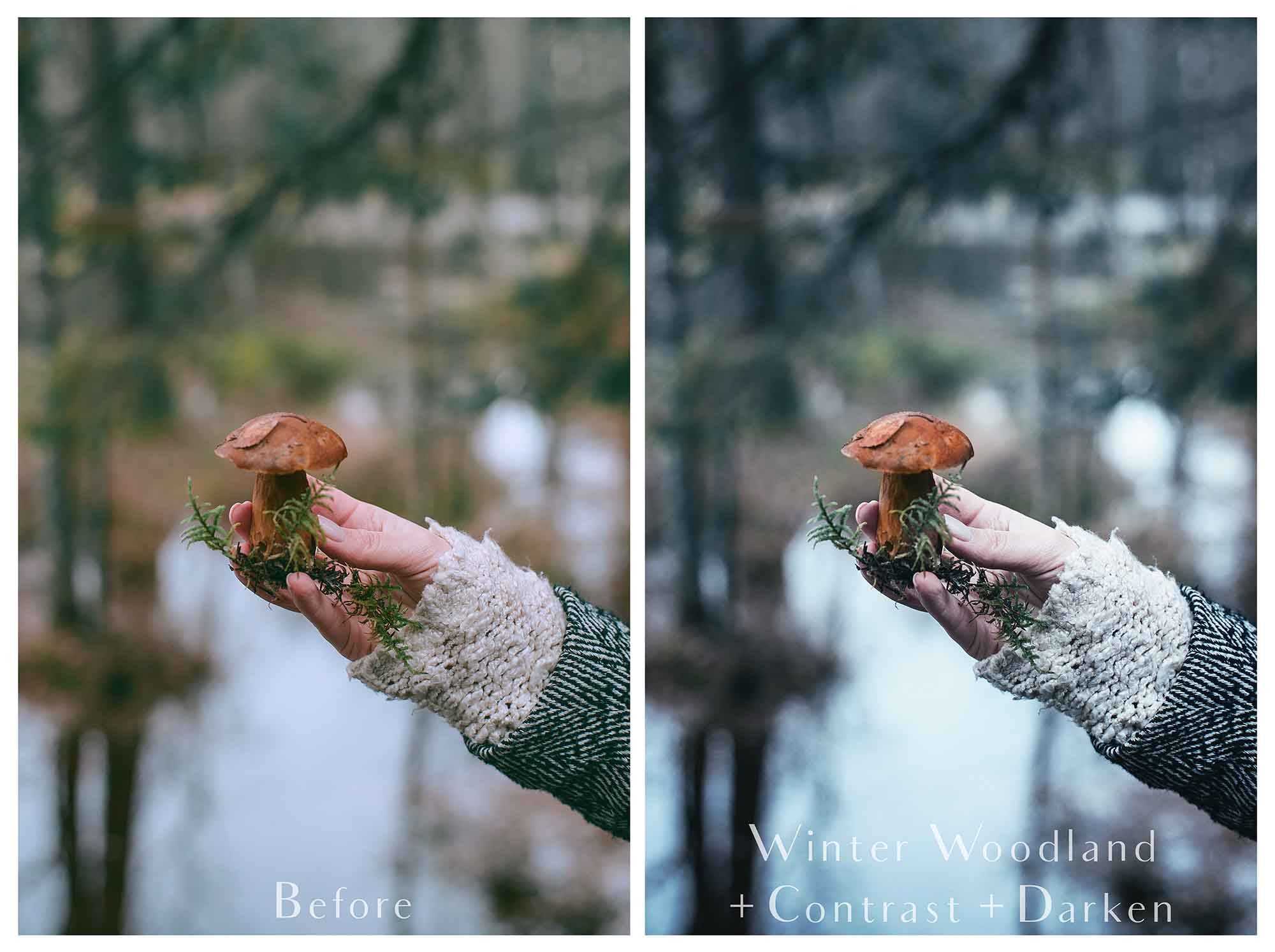 Photoshop Actions for Photography Edits. PS atn files are compatible with all versions of PS CS6. Photoshop Actions for professional photographers, photo edits and Instagram influencers. Warm, Rich, Light, Matte. For Wedding, Newborn, Studio Photography. By ATP Textures