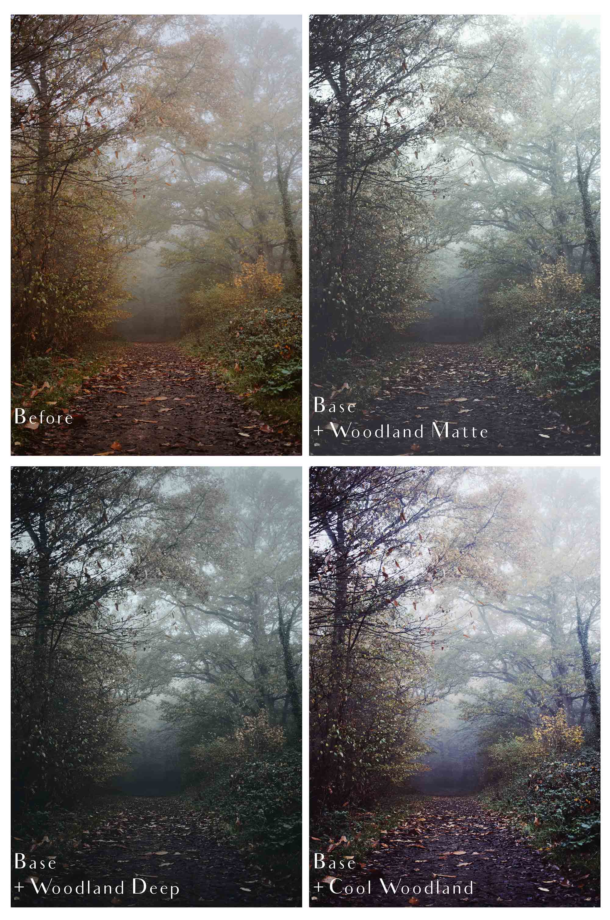 Photoshop Actions for Photography Edits. PS atn files are compatible with all versions of PS CS6. Photoshop Actions for professional photographers, photo edits and Instagram influencers. Warm, Rich, Light, Matte. For Wedding, Newborn, Studio Photography. By ATP Textures