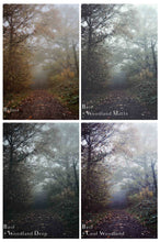 Load image into Gallery viewer, WINTER WOODLAND Mini Set Photoshop Actions
