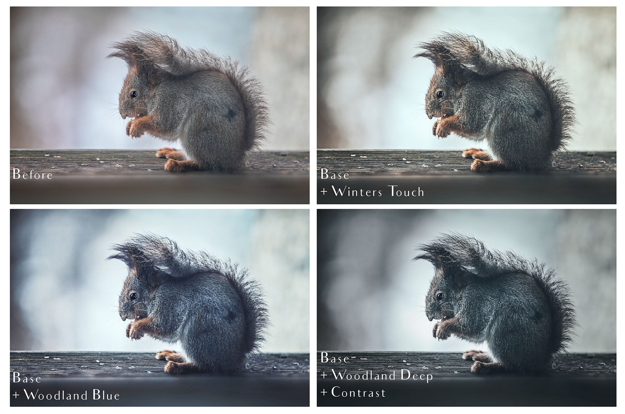 Photoshop Actions for Photography Edits. PS atn files are compatible with all versions of PS CS6. Photoshop Actions for professional photographers, photo edits and Instagram influencers. Warm, Rich, Light, Matte. For Wedding, Newborn, Studio Photography. By ATP Textures