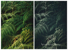 Load image into Gallery viewer, WINTER WOODLAND Mini Set Photoshop Actions
