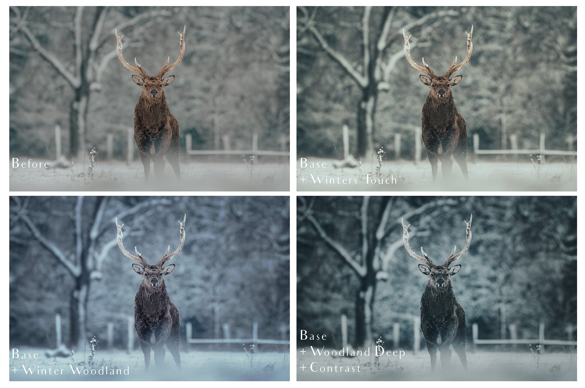 Photoshop Actions for Photography Edits. PS atn files are compatible with all versions of PS CS6. Photoshop Actions for professional photographers, photo edits and Instagram influencers. Warm, Rich, Light, Matte. For Wedding, Newborn, Studio Photography. By ATP Textures