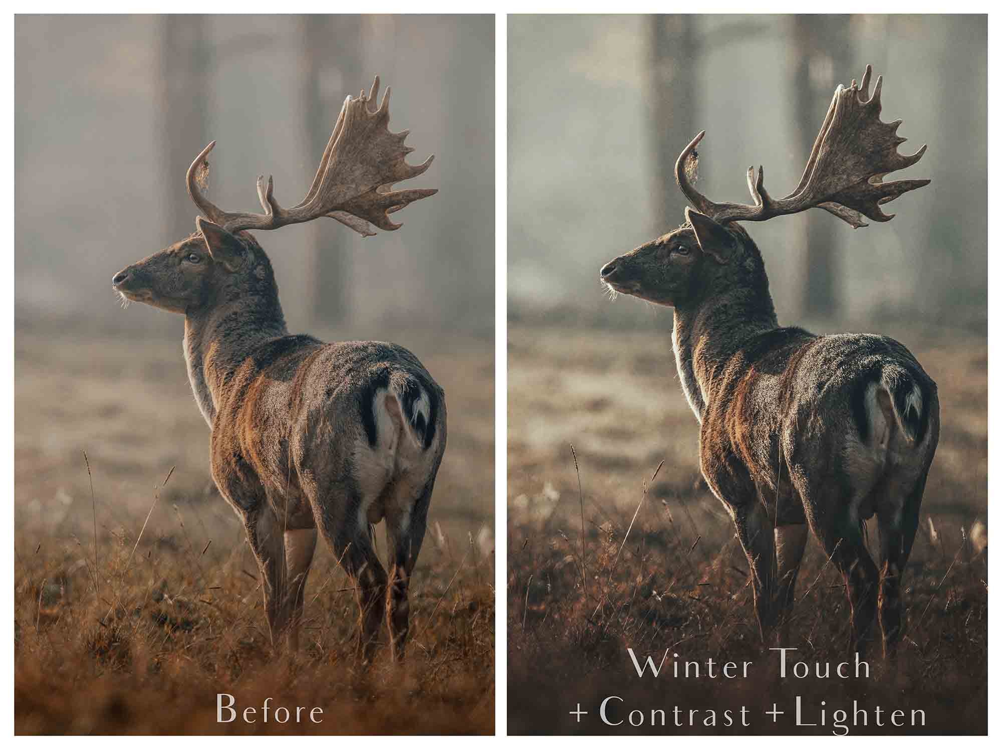 Photoshop Actions for Photography Edits. PS atn files are compatible with all versions of PS CS6. Photoshop Actions for professional photographers, photo edits and Instagram influencers. Warm, Rich, Light, Matte. For Wedding, Newborn, Studio Photography. By ATP Textures