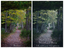 Load image into Gallery viewer, WINTER WOODLAND Mini Set Photoshop Actions

