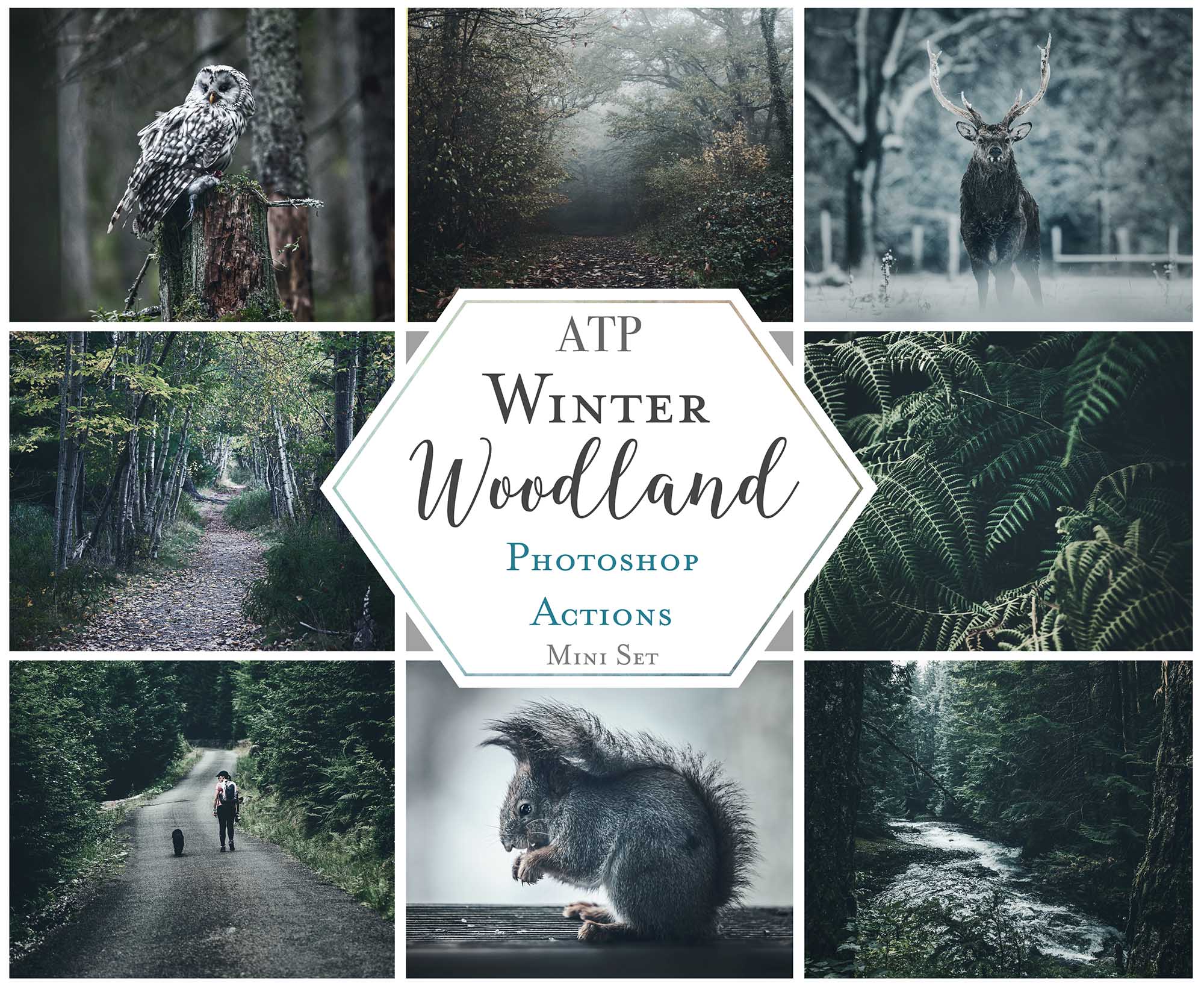 Photoshop Actions for Photography Edits. PS atn files are compatible with all versions of PS CS6. Photoshop Actions for professional photographers, photo edits and Instagram influencers. Warm, Rich, Light, Matte. For Wedding, Newborn, Studio Photography. By ATP Textures