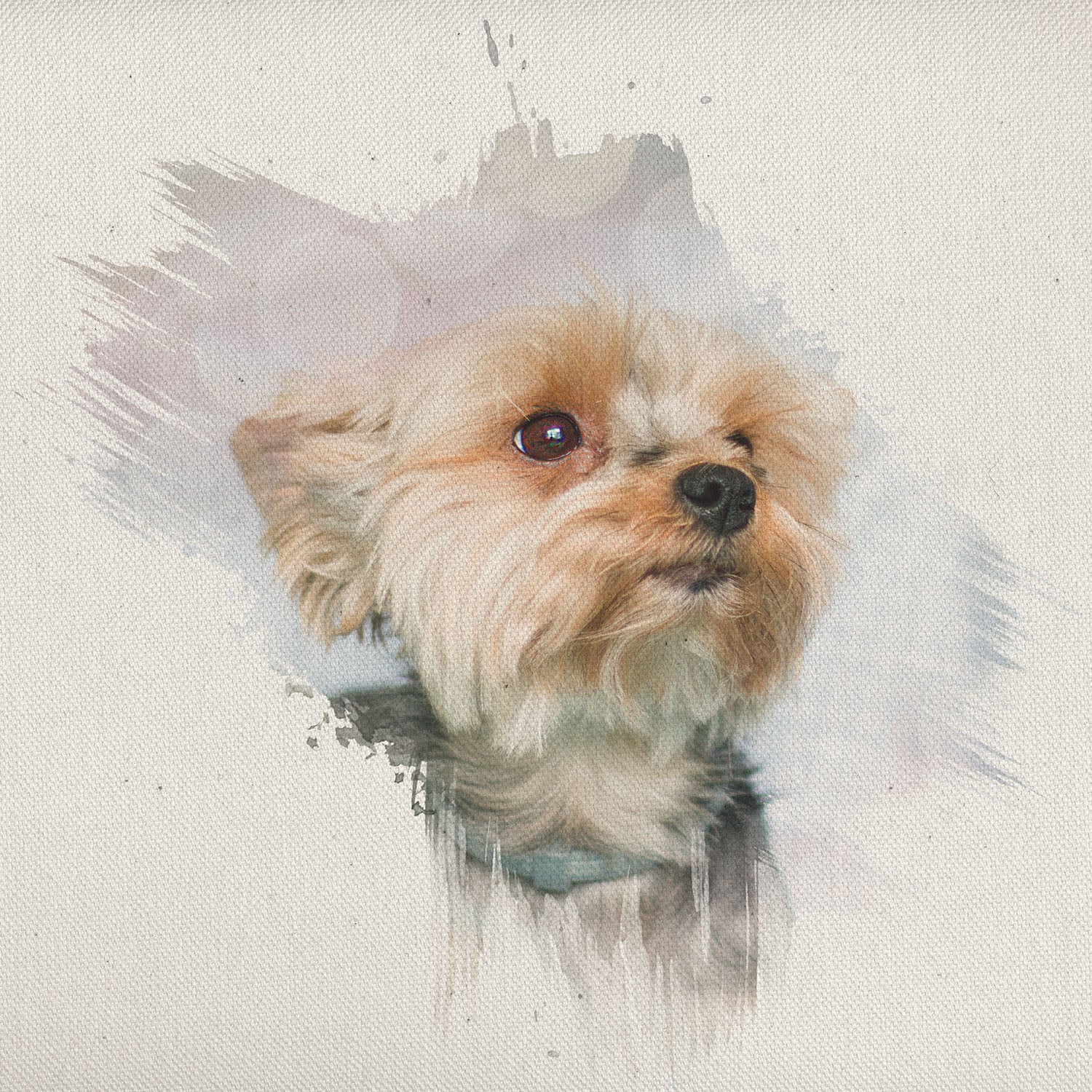 Watercolour clipping masks. High resolution Png, transparent background, files. 36 Photoshop brushes are included in the set. All different and unique! Photoshop brushes with overlays for photography and digital design. Digital Stamps for scrapbooking, photo edits. Realistic fine art assets and Add ons. ATP Textures