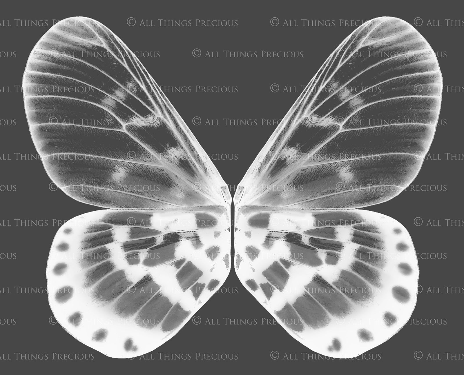 Digital Faery Wing Overlays! Fairy wings, Png overlays for photoshop. Photography editing. High resolution, 300dpi fairy wings. Overlays for photography. Digital stock and resources. Graphic design. Fairy Photos. Colourful Fairy wings. Faerie Wings.