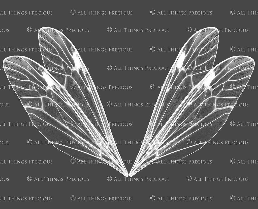 Digital Faery Wing Overlays! Fairy wings, Png overlays for photoshop. Photography editing. High resolution, 300dpi fairy wings. Overlays for photography. Digital stock and resources. Graphic design. Fairy Photos. Colourful Fairy wings. Faerie Wings.