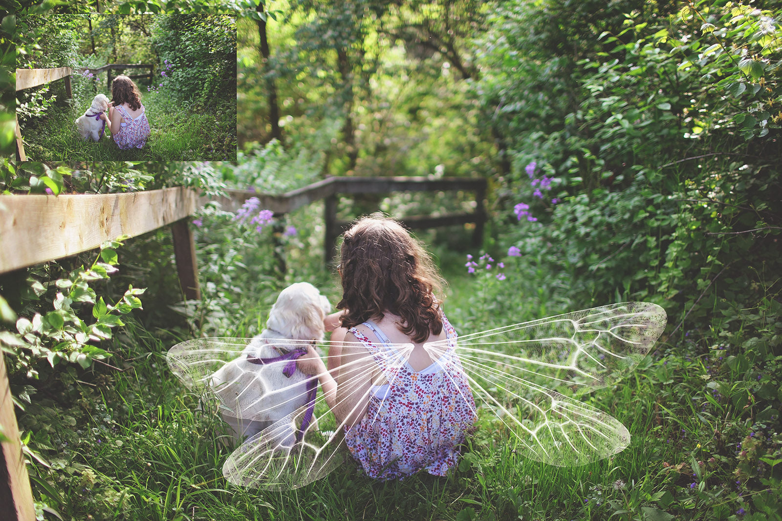 Digital Faery Wing Overlays. Png overlays for photoshop. Photography editing. High resolution, 300dpi fairy wings. Overlays for photography. Digital stock and resources. Graphic design. Fairy Photos. Colourful Fairy wings. Faerie Wings. ATP Textures. Overlays. Actions, Textures, Photo Resources, Photoshop. 