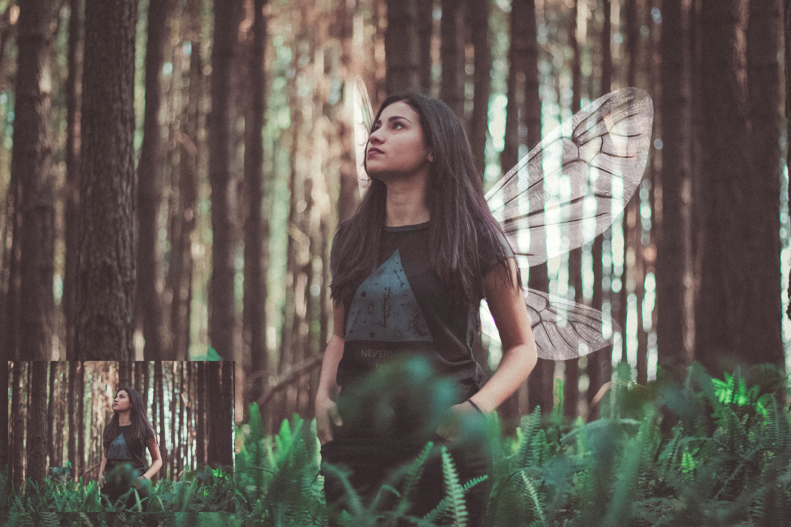 Digital Faery Wing Overlays. Png overlays for photoshop. Photography editing. High resolution, 300dpi fairy wings. Overlays for photography. Digital stock and resources. Graphic design. Fairy Photos. Colourful Fairy wings. Faerie Wings. ATP Textures. Overlays. Actions, Textures, Photo Resources, Photoshop. 