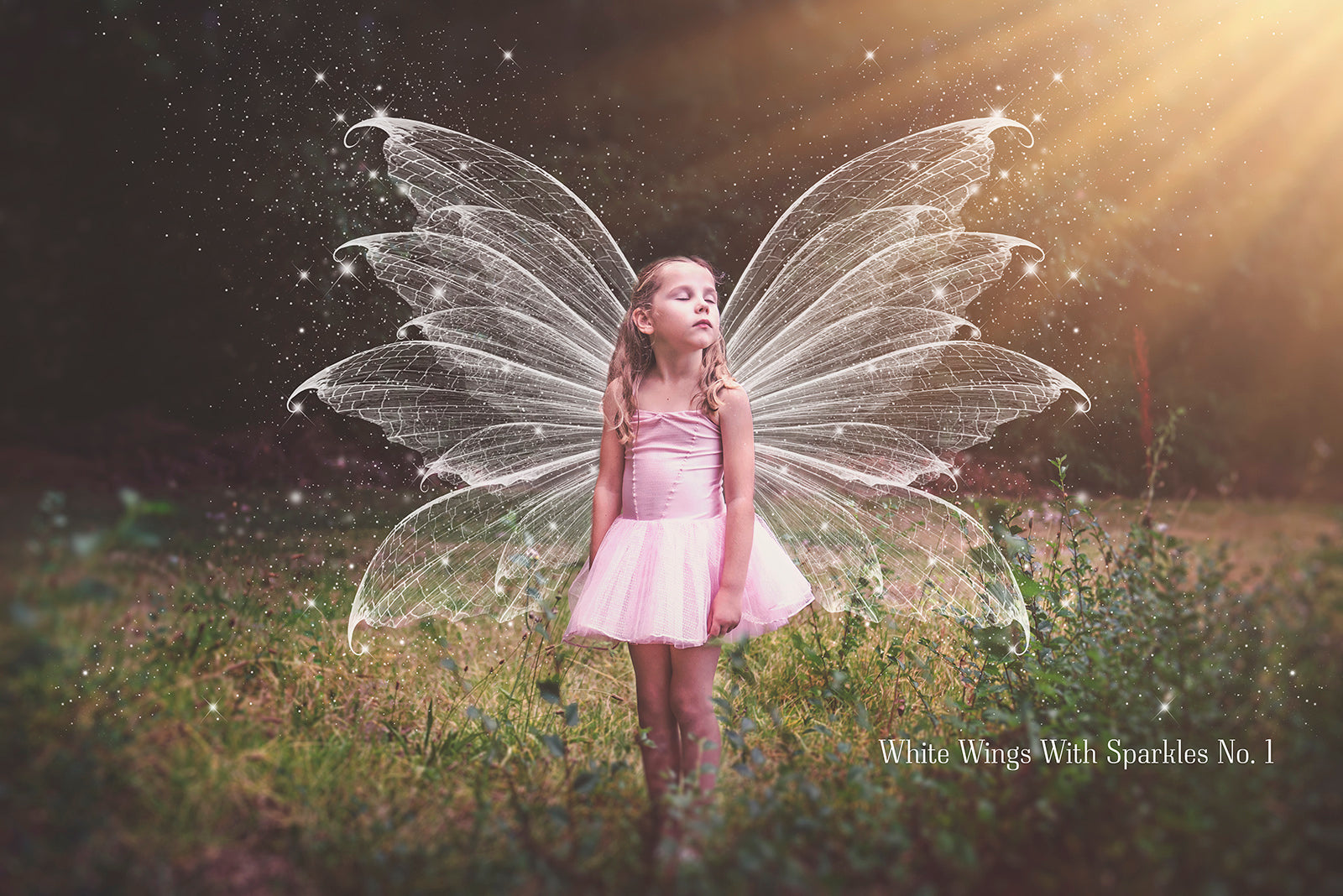 Digital Faery Wing Overlays! Fairy wings, Png overlays for photoshop. Photography editing. High resolution, 300dpi fairy wings. Overlays for photography. Digital stock and resources. Graphic design. Fairy Photos. Colourful Fairy wings. Faerie Wings.