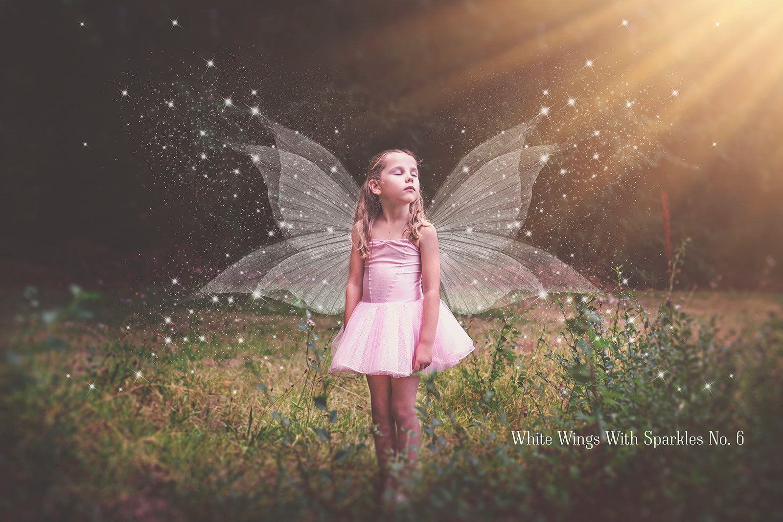 Digital Faery Wing Overlays! Fairy wings, Png overlays for photoshop. Photography editing. High resolution, 300dpi fairy wings. Overlays for photography. Digital stock and resources. Graphic design. Fairy Photos. Colourful Fairy wings. Faerie Wings.
