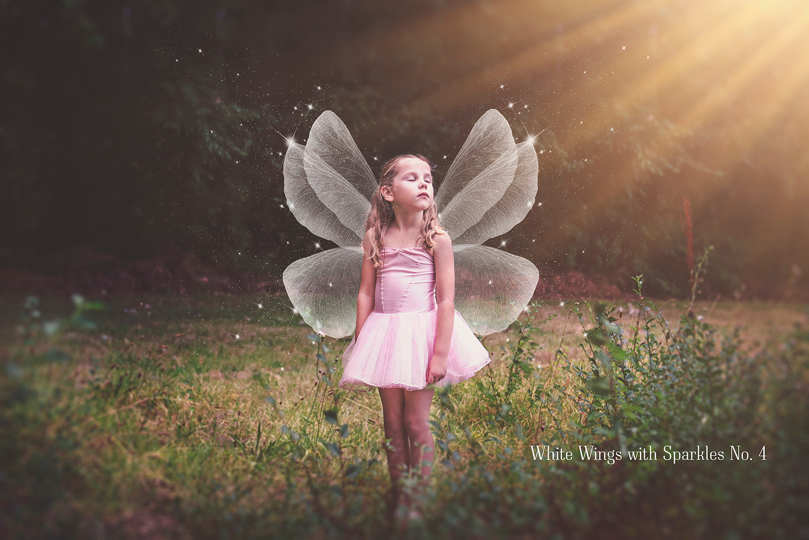 Digital Faery Wing Overlays! Fairy wings, Png overlays for photoshop. Photography editing. High resolution, 300dpi fairy wings. Overlays for photography. Digital stock and resources. Graphic design. Fairy Photos. Colourful Fairy wings. Faerie Wings.