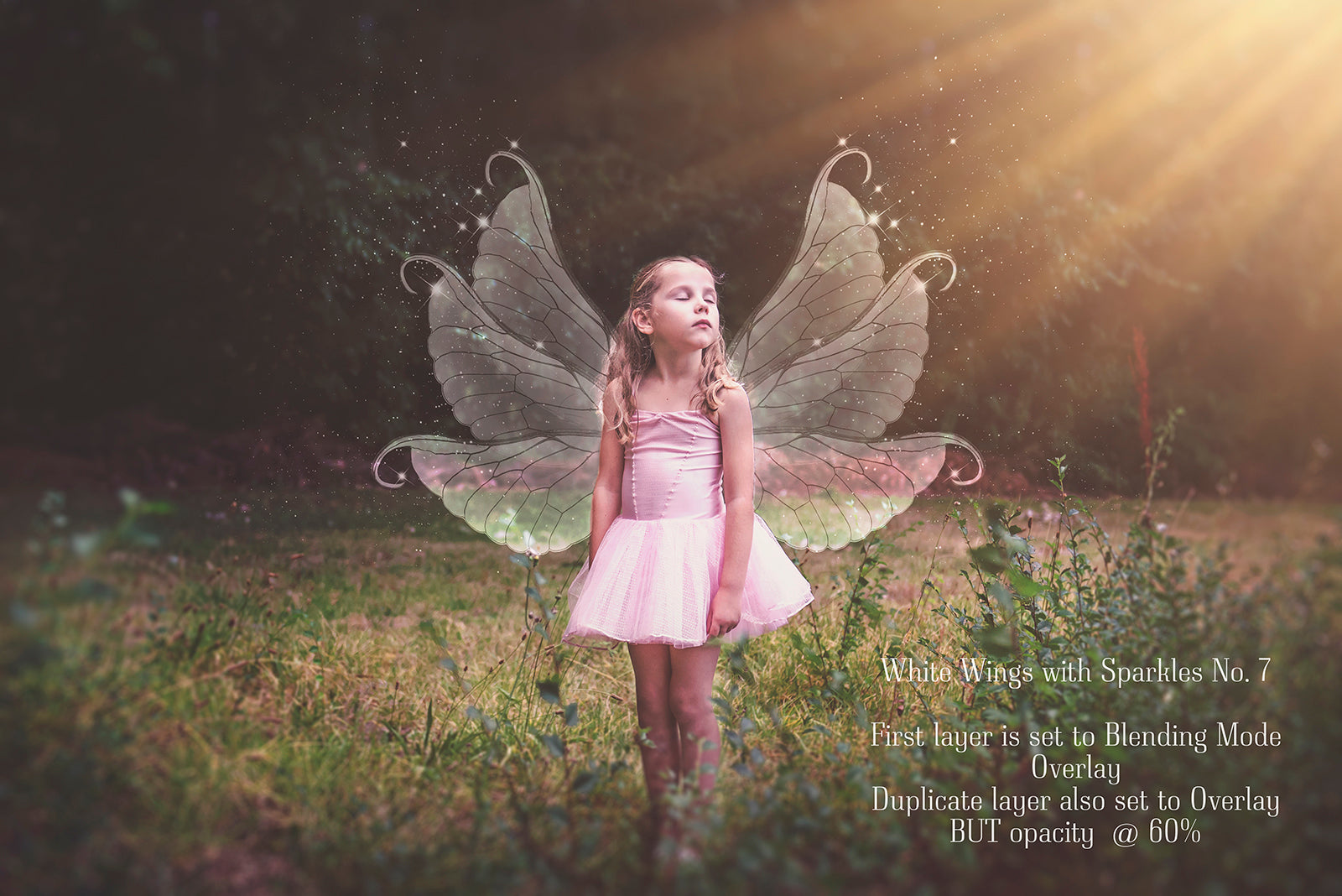 Digital Faery Wing Overlays! Fairy wings, Png overlays for photoshop. Photography editing. High resolution, 300dpi fairy wings. Overlays for photography. Digital stock and resources. Graphic design. Fairy Photos. Colourful Fairy wings. Faerie Wings.