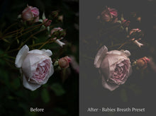 Load image into Gallery viewer, WOODLAND Lightroom Presets - For DESKTOP
