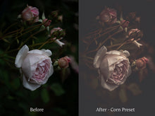 Load image into Gallery viewer, WOODLAND Set 2 Lightroom Presets - For Mobile and Desktop
