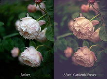 Load image into Gallery viewer, WOODLAND Set 2 Lightroom Presets - For Mobile and Desktop
