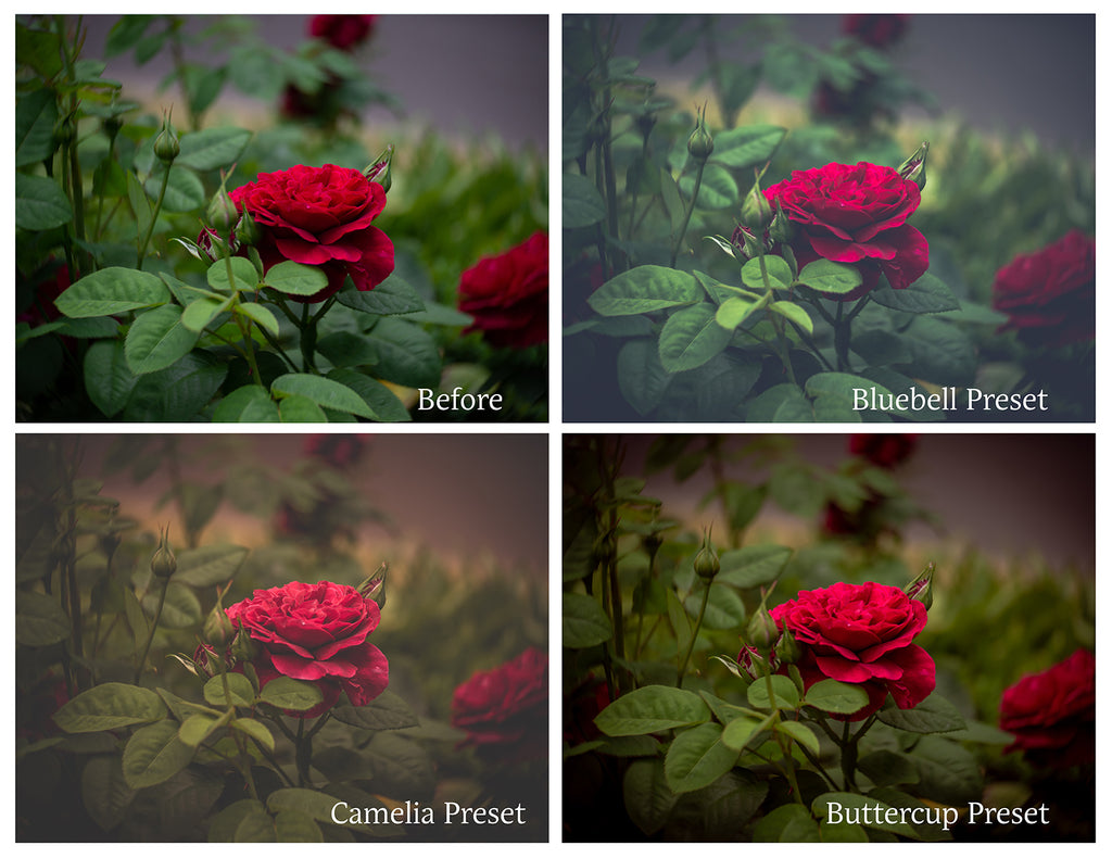 ATP Textures