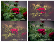 Load image into Gallery viewer, WOODLAND Lightroom Presets - For DESKTOP
