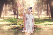 Load image into Gallery viewer, 20 Png FAIRY WING Overlays Set 22
