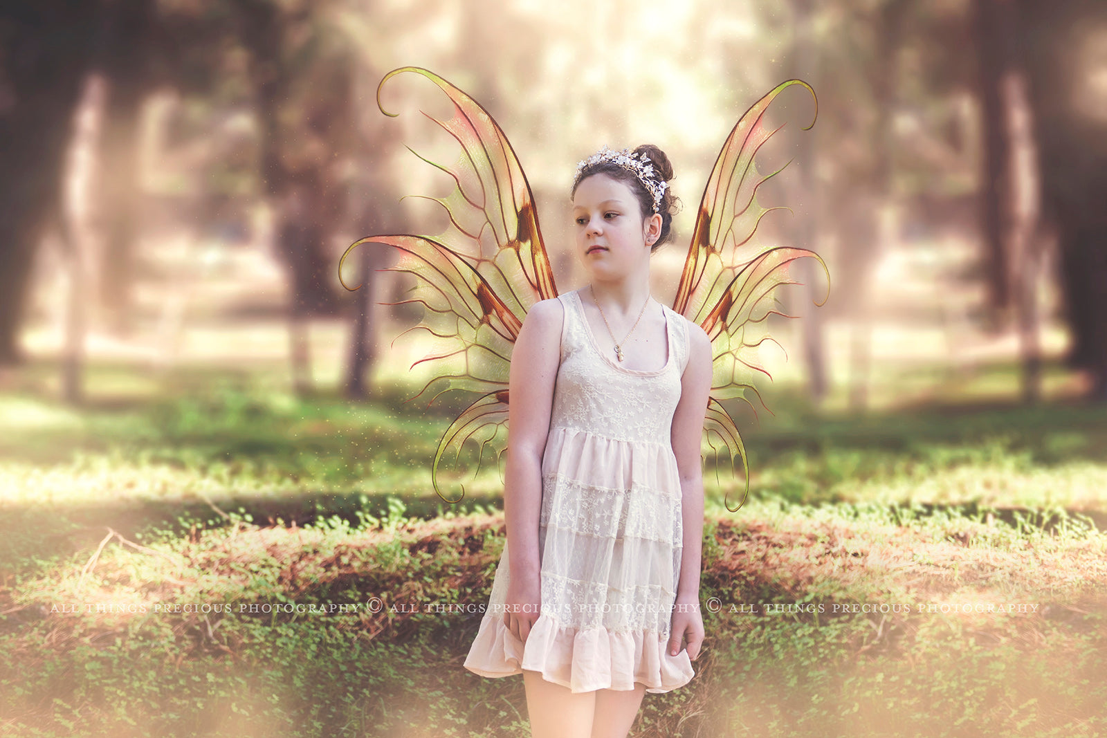 Digital Faery Wing Overlays. Png overlays for photoshop. Photography editing. High resolution, 300dpi fairy wings. Overlays for photography. Digital stock and resources. Graphic design. Fairy Photos. Colourful Fairy wings. Faerie Wings. ATP Textures. Overlays. Actions, Textures, Photo Resources, Photoshop. 