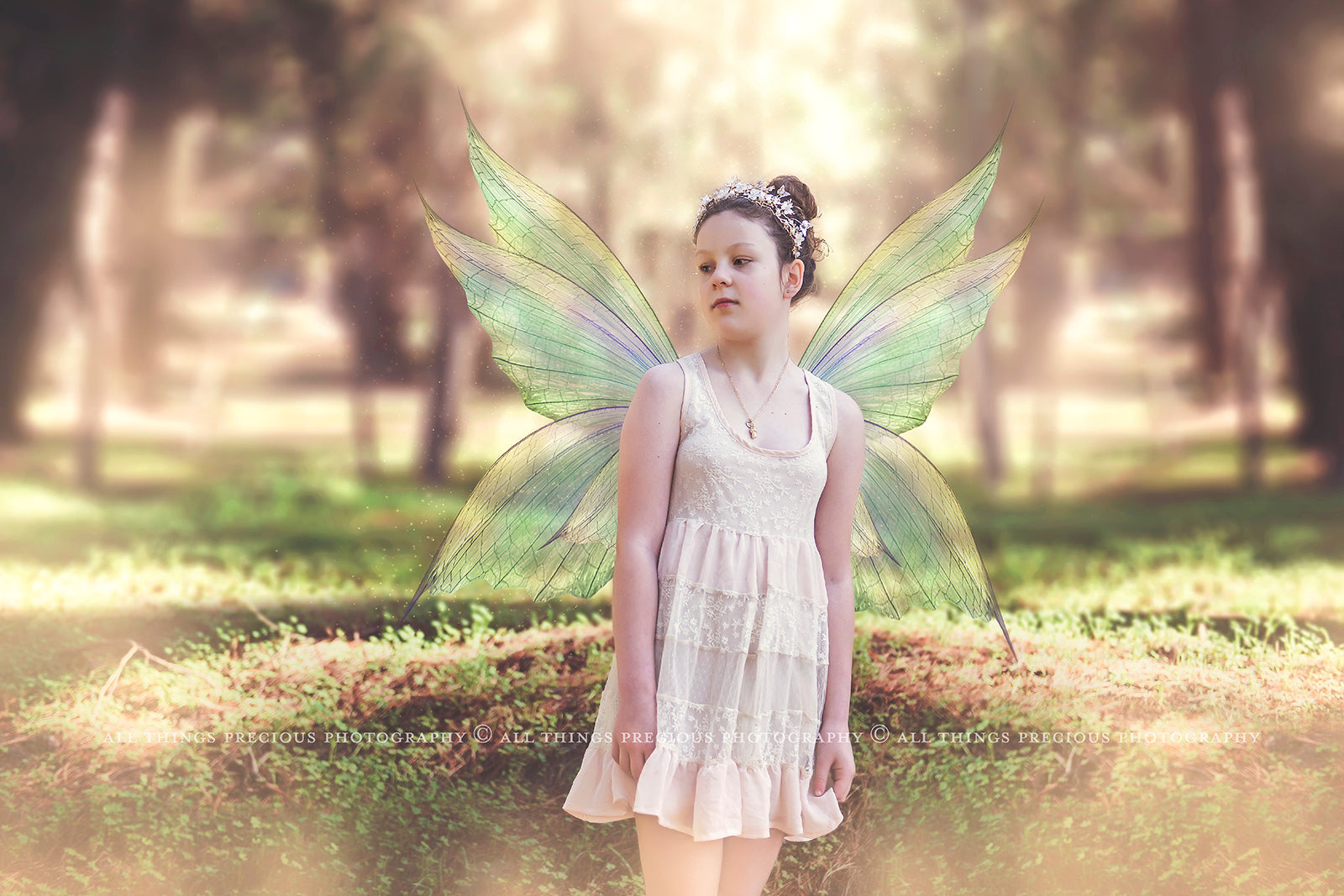 Digital Faery Wing Overlays. Png overlays for photoshop. Photography editing. High resolution, 300dpi fairy wings. Overlays for photography. Digital stock and resources. Graphic design. Fairy Photos. Colourful Fairy wings. Faerie Wings. ATP Textures. Overlays. Actions, Textures, Photo Resources, Photoshop. 