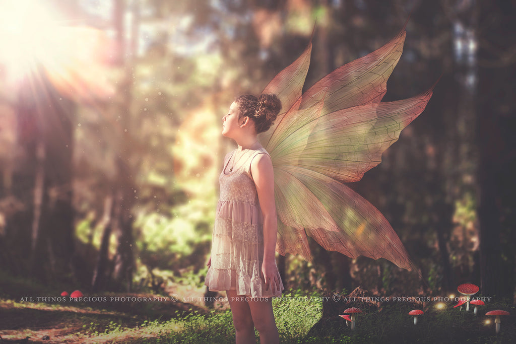 Digital Faery Wing Overlays. Png overlays for photoshop. Photography editing. High resolution, 300dpi fairy wings. Overlays for photography. Digital stock and resources. Graphic design. Fairy Photos. Colourful Fairy wings. Faerie Wings. ATP Textures. Overlays. Actions, Textures, Photo Resources, Photoshop. 