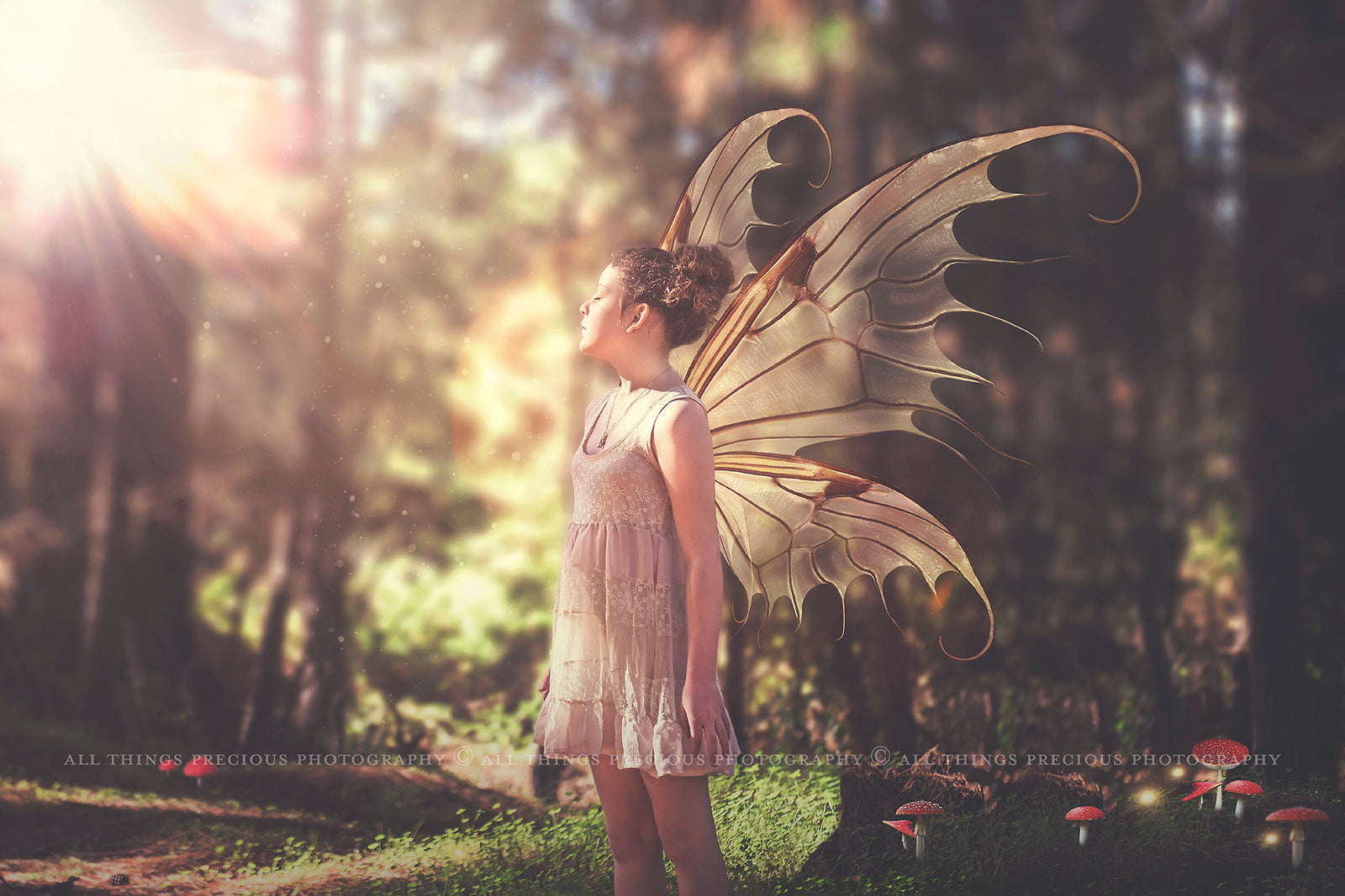 Digital Faery Wing Overlays. Png overlays for photoshop. Photography editing. High resolution, 300dpi fairy wings. Overlays for photography. Digital stock and resources. Graphic design. Fairy Photos. Colourful Fairy wings. Faerie Wings. ATP Textures. Overlays. Actions, Textures, Photo Resources, Photoshop. 