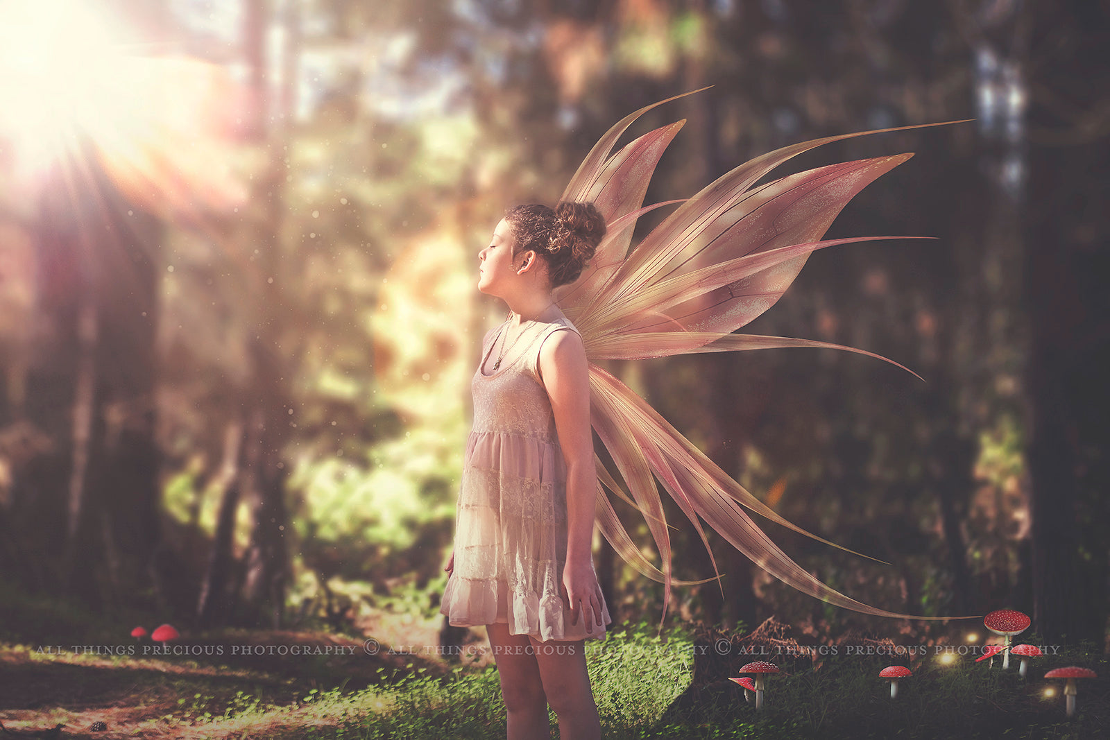 Digital Faery Wing Overlays. Png overlays for photoshop. Photography editing. High resolution, 300dpi fairy wings. Overlays for photography. Digital stock and resources. Graphic design. Fairy Photos. Colourful Fairy wings. Faerie Wings. ATP Textures. Overlays. Actions, Textures, Photo Resources, Photoshop. 