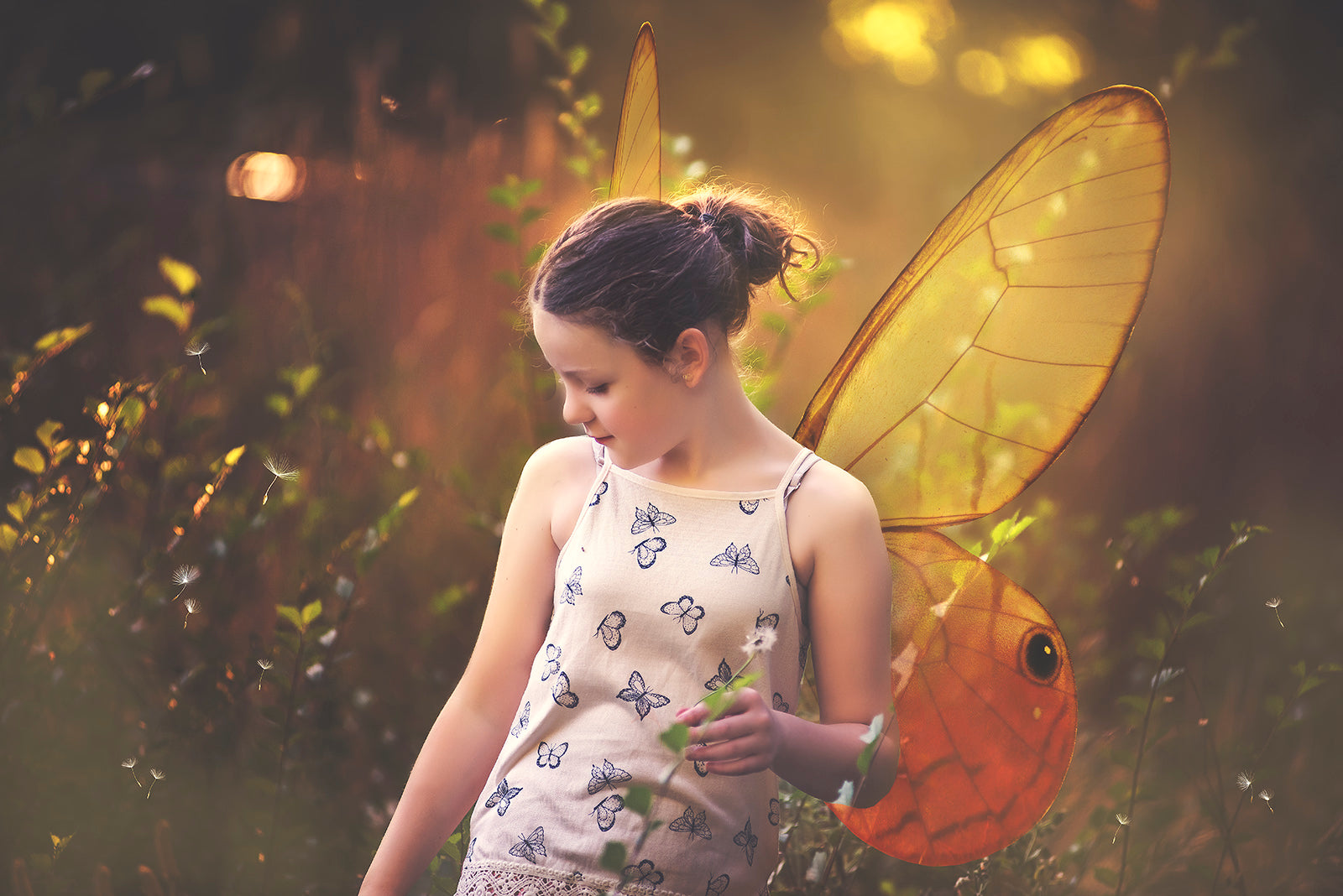 Butterfly fairy wings, Png overlays for photoshop. Photography editing. High resolution, 300dpi. Overlay for photography. Digital stock and resources. Graphic design. Wings for Photos. Colourful Faerie Wings.