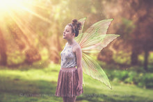 Load image into Gallery viewer, 20 Png FAIRY WING Overlays Set 28
