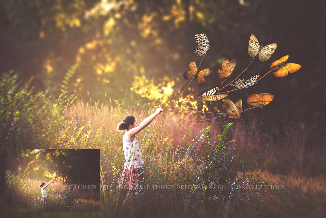 Png overlays for photography, Digital scrapbooking. PNG Butterfly Overlays, butterfly clipart, high resolution overlay, fine art photo overlay by ATP textures.