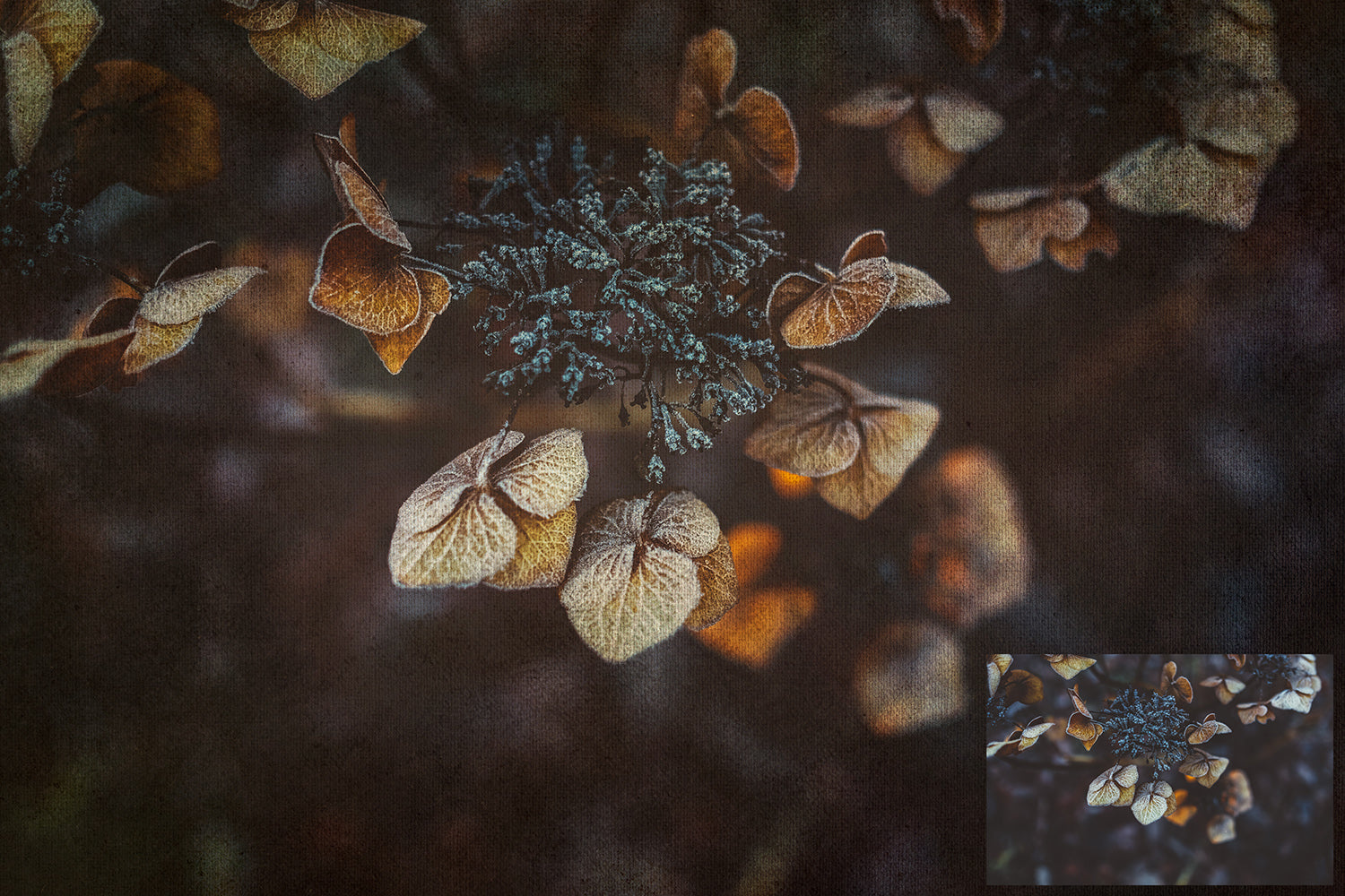 Fine Art Textures for photographers and digital editing. Photo Overlays. Antique, Vintage, Grunge, Light, Dark Variety Bundle.  Textured printable Canvas, Colour, Monochrome, Bundle. High resolution, 300dpi Graphic Assets for photography, digital scrapbooking and design. By ATP Textures