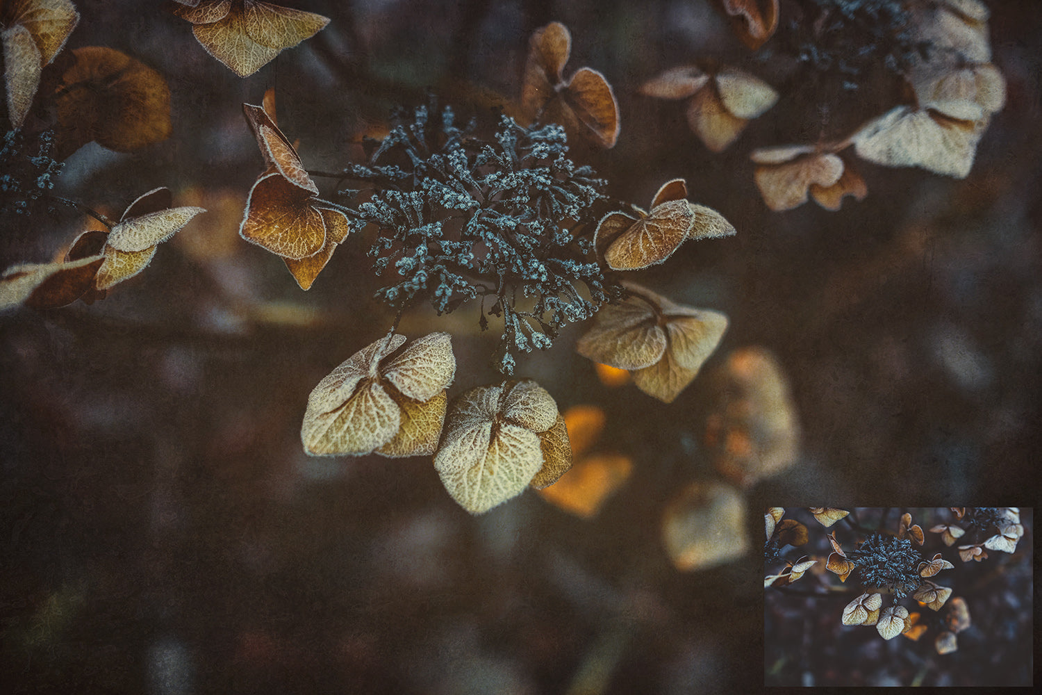 Rich warm and Creamy tinted textures. Fine Art Texture for photographers and digital editing. Photo Overlays. Antique, Vintage, Grunge, Light, Dark Bundle. Textured printable Canvas, Colour, Monochrome, Bundle. High resolution, 300dpi Graphic Assets for photography, digital scrapbooking and design. By ATP Textures