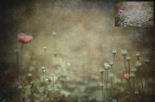 Load image into Gallery viewer, 10 Fine Art TEXTURES - LIGHT Set 19
