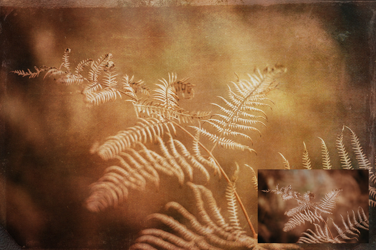 Vintage aged textures. Sweet Textures. Fine art texture for photographers, digital editing. Photo Overlays. Antique, Old World, Grunge, Light, Bundle. Textured printable Canvas, Colour, black and white, Bundle. High resolution, 300dpi Graphic Assets for photography, digital scrapbooking and design. By ATP Textures