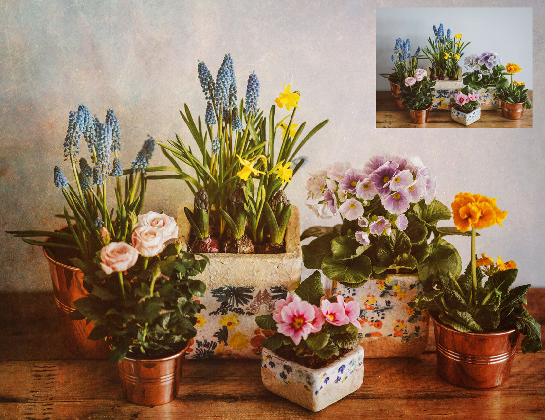 Warm Tinted Textures. Fine art texture for photographers, digital editing. Photo Overlays. Antique, Old World, Grunge, Light, Bundle. Textured printable Canvas, Colour, black and white, Bundle. High resolution, 300dpi Graphic Assets for photography, digital scrapbooking and design. By ATP Textures