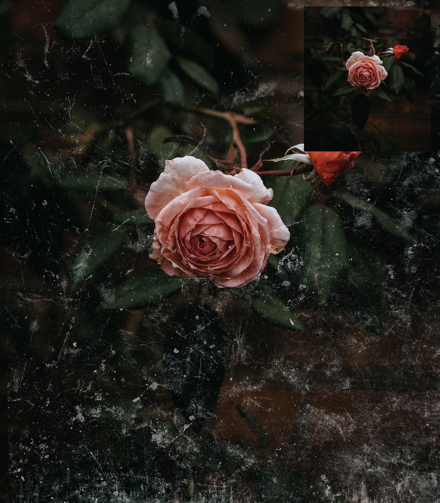 High Resolution Grunge and Grit Photoshop brushes for photography and digital design.  Digital Stamps for scrapbooking, photography and graphic design. Assets and Add ons. High resolution digital files.  ATP Textures 