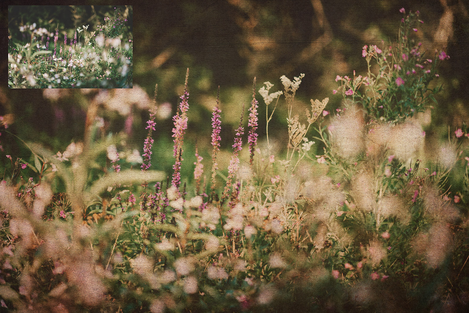 Fine art textures for photographers, digital editing. Photo Overlays. Antique, Vintage, Grunge, Light, Bundle. Textured printable Canvas, Colour, black and white, Bundle. High resolution, 300dpi Graphic Assets for photography, scrapbooking and design. By ATP Textures