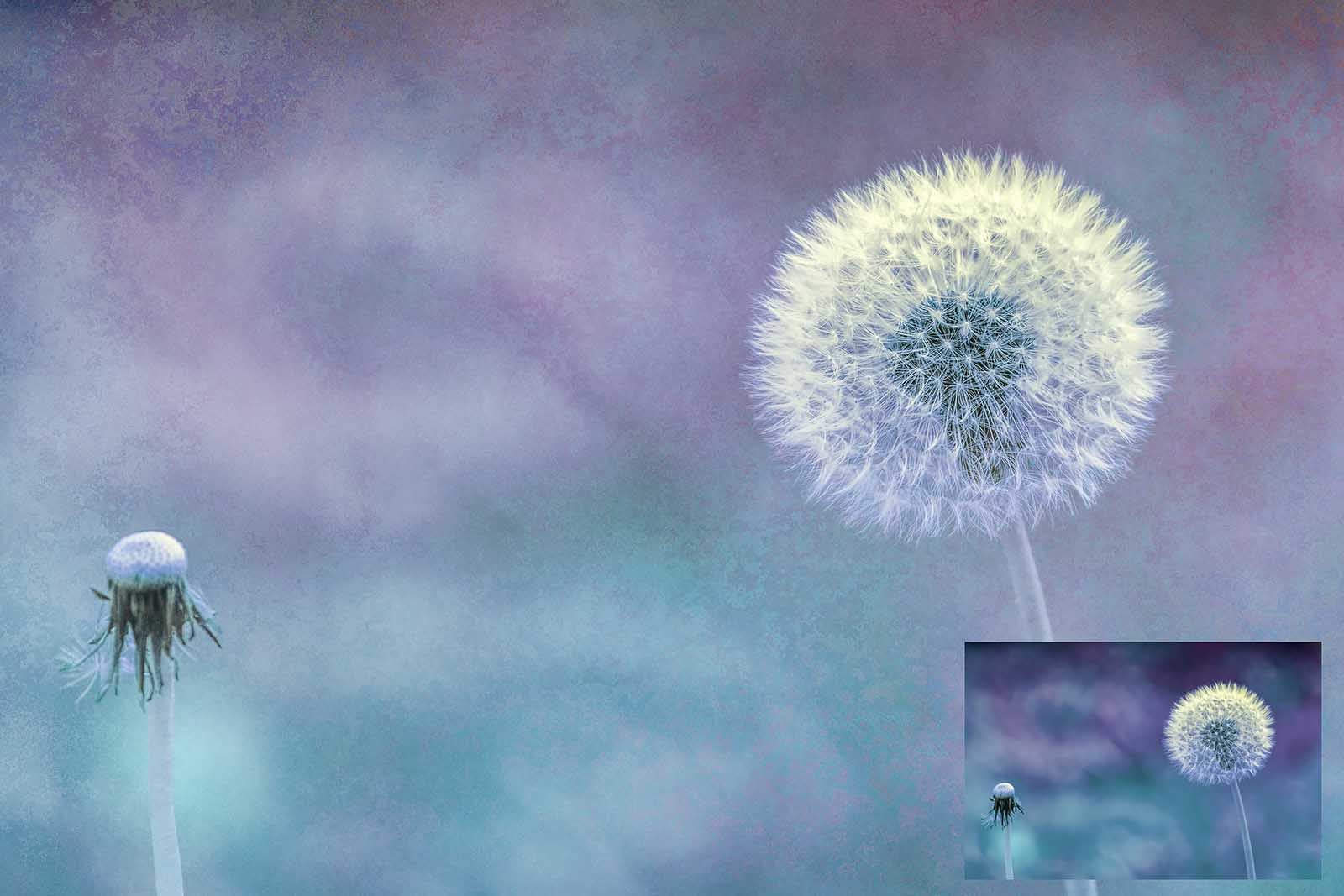 Pretty Pink textures. Fine art texture for photographers, digital editing. Photo Overlays. Antique, Vintage, Grunge, Light, Aged Bundle. Textured printable Canvas, Colour, black and white, Bundle. High resolution, 300dpi Graphic Assets for photography, digital scrapbooking and design. By ATP Textures