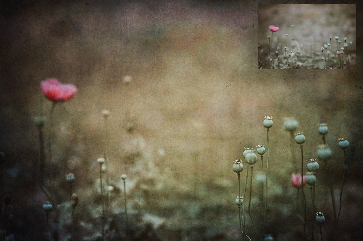 Fine Art Textures for photographers and digital editing. Photo Overlays. Antique, Vintage, Grunge, Light, Dark Bundle. Textured printable Canvas, Colour, Monochrome, Bundle. High resolution, 300dpi Graphic Assets for photography, digital scrapbooking and design. By ATP Textures