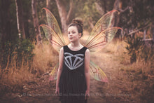 Load image into Gallery viewer, 20 Png FAIRY WING Overlays Set 31
