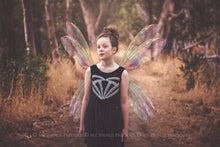 Load image into Gallery viewer, 20 Png FAIRY WING Overlays Set 31
