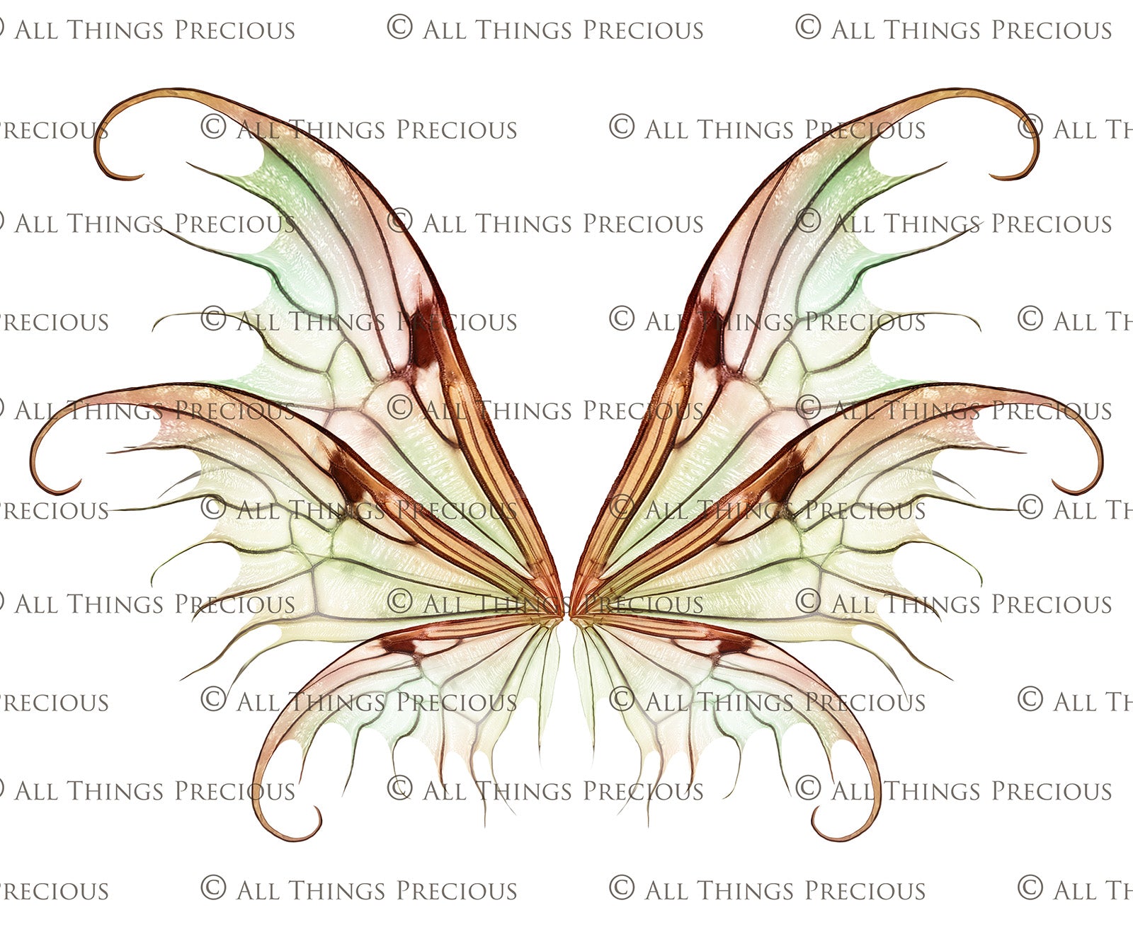Digital Faery Wing Overlays. Png overlays for photoshop. Photography editing. High resolution, 300dpi fairy wings. Overlays for photography. Digital stock and resources. Graphic design. Fairy Photos. Colourful Fairy wings. Faerie Wings. ATP Textures. Overlays. Actions, Textures, Photo Resources, Photoshop. 