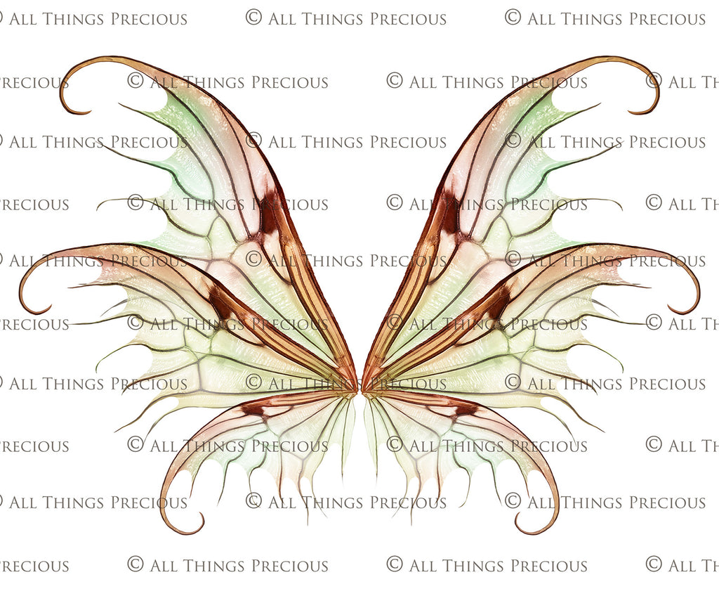 Digital Faery Wing Overlays. Png overlays for photoshop. Photography editing. High resolution, 300dpi fairy wings. Overlays for photography. Digital stock and resources. Graphic design. Fairy Photos. Colourful Fairy wings. Faerie Wings. ATP Textures. Overlays. Actions, Textures, Photo Resources, Photoshop. 