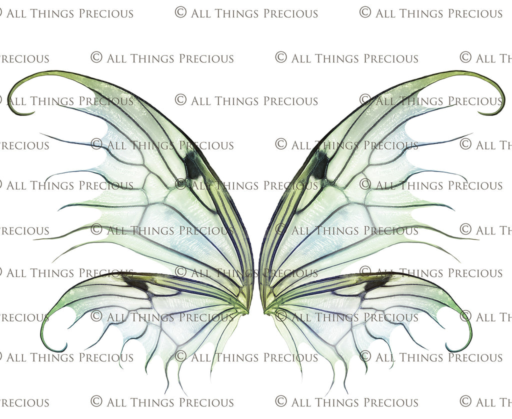 Digital Faery Wing Overlays. Png overlays for photoshop. Photography editing. High resolution, 300dpi fairy wings. Overlays for photography. Digital stock and resources. Graphic design. Fairy Photos. Colourful Fairy wings. Faerie Wings. ATP Textures. Overlays. Actions, Textures, Photo Resources, Photoshop. 